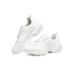 DLites 1.0 „White Silver“